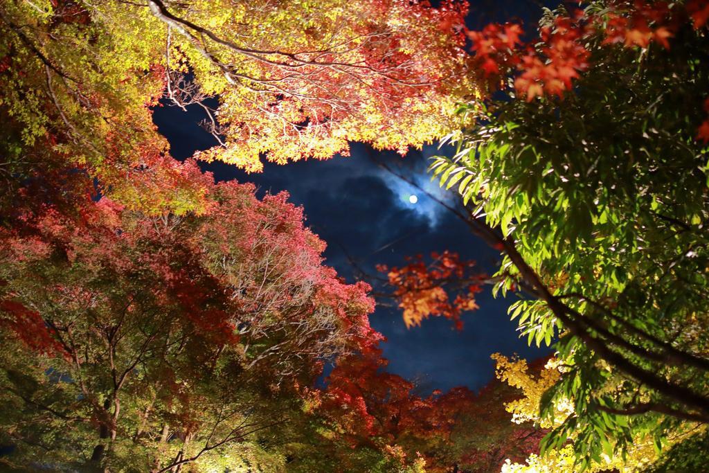 Cottage Pastorale Fujikawaguchiko Exterior photo